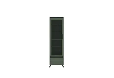 Витрина Лаундж REG1W2S зеленый дымчатый/черный