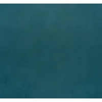Bagira 29