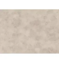 Roni 01
