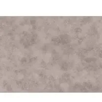 Roni 02